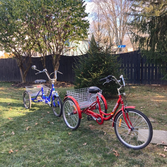 Tricycle Service Transport (Pick-up &/or Delivery)