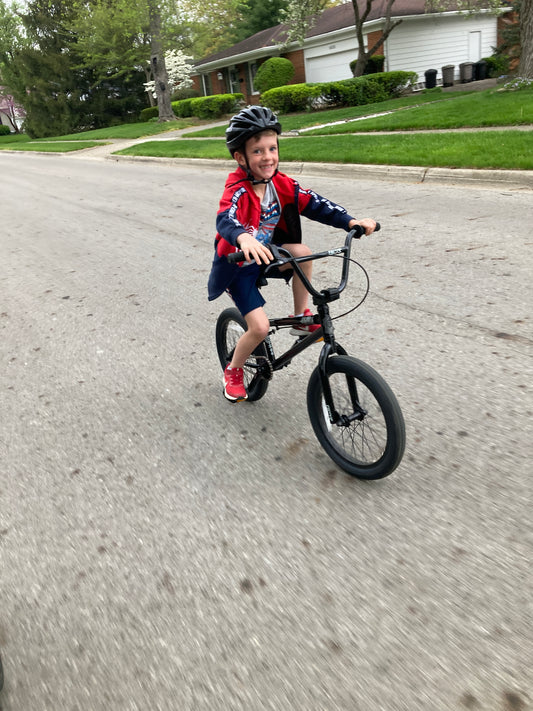 Bicycle Service Transport (Pick-up &/or Delivery)
